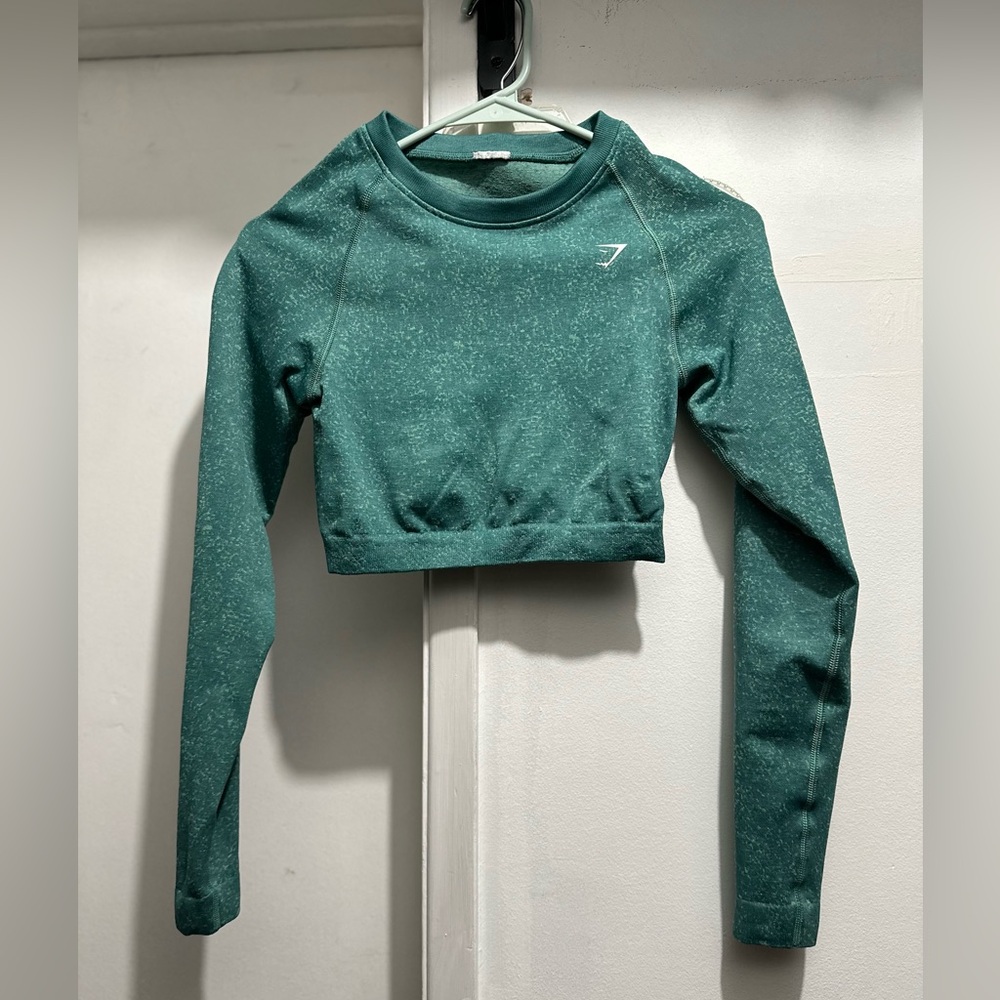 Long sleeve crop top